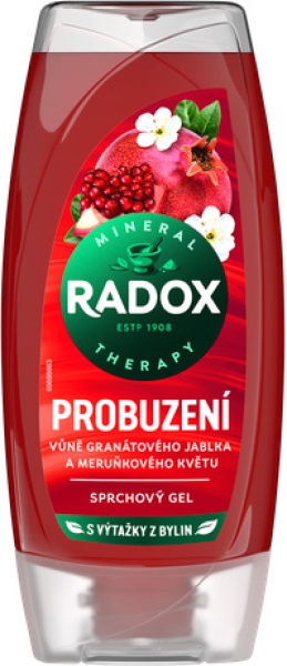 Obrázek